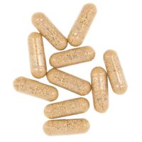 Terranova Fermented Ashwagandha